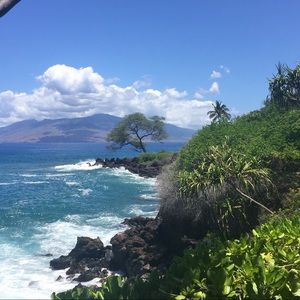 Meet your Posher, So Juicy and Fresh